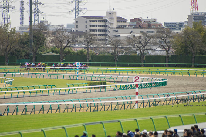 2歳児と競馬狂と