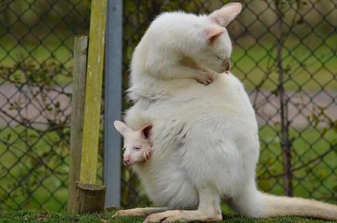 ディフィカルトチャイルドとイージーチャイルドを比べてみる【月齢3ヶ月編】 〜地獄の育児録〜